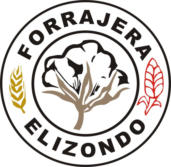 logo_FESA_solo